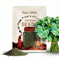 Callaloo Seeds