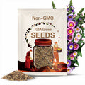 Ensign Mix Morning Glory Seeds - Fast Growing, Climbing Vine, Attracts Pollinators, Drought Tolerant  - Plant in Spring/Summer