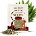 Asparagus densiflorus Myers seeds, Foxtail fern, Myer's Asparagus Fern, Asparagus Myers (14 seeds), seeds for planting