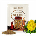 Hello Yellow Butterfly Milkweed Seeds, Asclepius Tuberosa MW1210