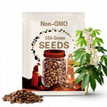 10 PawPaw Tree Seeds Asimina triloba Native American Fruit Tree Organic Heirloom Stratified