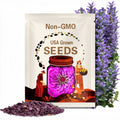 Purple Prince Zinnia Seeds | Giant 5"+ Flowers | Easy to Grow
