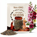 Mixed Hollyhock Seeds, Alcea rosea,  Free Shipping in USA!
