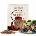 Mixed Grape Seeds – Multicolor Wine & Dessert Fruit Organic USA