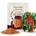 Gardeners Delight | Tomato Seeds | Heirloom | Organic
