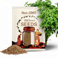 200 Organic Italian Oregano Seeds: Hardy Perennial; Culinary and Beneficial