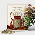 Milkweed Seed Collection (5-Pack)