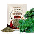 1,000 Kale Portuguese Seeds Couve tronchuda Non-GMO Heirloom Free Shipping