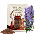 Freshly Harvested Yam Beans  -Pack of 28 Seeds