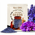 Blue Purple Hosta Seeds Shade Perennial Garden