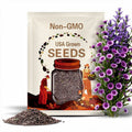 50 Violet and White 3D Cape Daisy Seeds | Osteospermum ecklonis | Unique Bi-Color Blooms for Pots, Borders & Summer Gardens