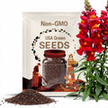 Snapdragon Ruby -50 Seeds - 36" Tall! - Dark Red Blooms - Antirrhinum majus
