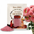 50pcs Pink Giant Teddy Bear Sunflower Seeds - Fluffy Double Blooms for Garden Charm