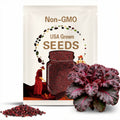 Red Borecole Kale Seeds: Heirloom Purple Frilly Vegetable