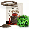 Peppermint Seeds - Heirloom Seeds, Medicinal Herb Seeds, Culinary Herb Seeds, Open Pollinated, Non-GMO