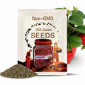 Red Strawberry Seeds - Perennial - Edible, Sweet Flavor, High Yield, Fragrant, Attracts Pollinators - Plant in Early Spring or Fall