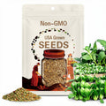1000pcs 'All Year Round' Chinese Cabbage Seeds – Heirloom & Organic, Non-GMO, High Germination – Perfect for Every Season