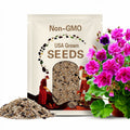 25 Plenum Geranium Seeds, Hardy Perennial Flower, Double Purple Blooms