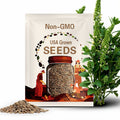 300 Sweet Vernal Grass Seeds: Fragrant Meadow Perennial