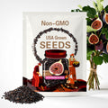 100 Black Madeira Fig Seeds: Rare, Sweet & Easy Grow