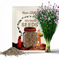 60s| Onion Chives Seeds | Hardy Perennial Herb | Easy to Grow | Perfect for Salads, Soups & Garnishes | Non-GMO | Culinary Favorite