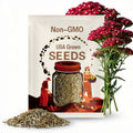 Organic Yarrow Seeds Red Achillea millefolium Non GMO Herb Seeds