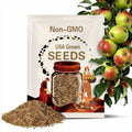 25+ Anna Apple Seeds: Fast-Growing Heirloom Fruit Tree Variety