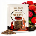 Benarys Giant Orange Zinnia Seeds, Largest Giant Zinnias, Zinnia Elegans ZE2125