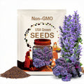 Frisé Rouge Kale Seeds: Heirloom, Non-GMO Vegetable Seeds
