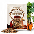10 Beauregard Sweet Potato Slips – Non-GMO, Chemical-Free, Fast-Growing, Garden-Ready Plants for Delicious Home Harvests