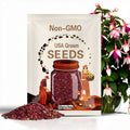 50pcs/bag Fuchsia Seeds Potted Flowers seeds,bonsai seeds. (#1224)