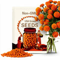 10 ORANGE BALL TREE / Golden Butterfly Bush Buddleja Globosa Shrub Flower Seeds