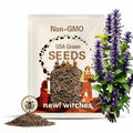 NEW! Witches Hat, Virgin's Bower, Solitary Clematis, Clematis Integrifolia CT2610