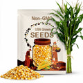 200 Seeds Golden Bantam Corn Seeds Live for Planting, Sweet Corn Seeds Easy for Growing from Seeds